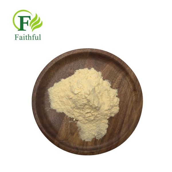 Horny Goat Weed Extract Powder CAS 489-32-7 Horny Goat Weed Extract Powder CAS 489-32-7